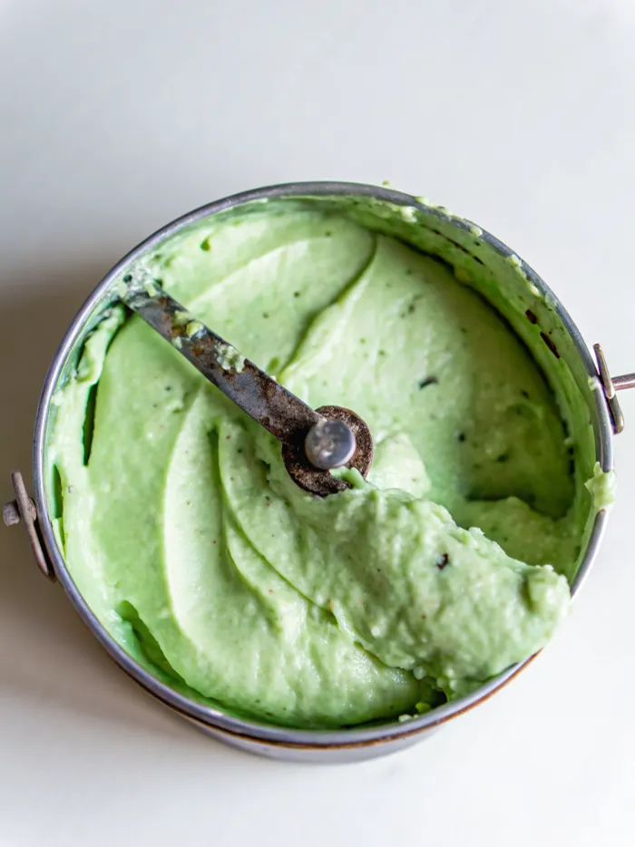 Mint Chocolate Chip Ice Cream